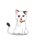 Shiro white cat with a fun.（個別スタンプ：35）