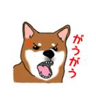 あなたの柴犬（個別スタンプ：18）