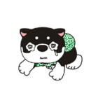 和み柴っこ（個別スタンプ：9）