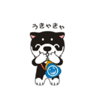 和み柴っこ（個別スタンプ：12）