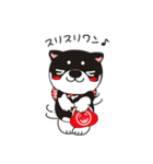 和み柴っこ（個別スタンプ：18）