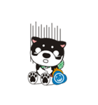 和み柴っこ（個別スタンプ：19）