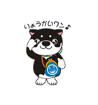和み柴っこ（個別スタンプ：29）