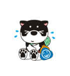 和み柴っこ（個別スタンプ：31）