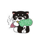 和み柴っこ（個別スタンプ：33）