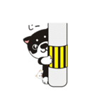 和み柴っこ（個別スタンプ：39）