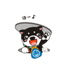 和み柴っこ（個別スタンプ：40）