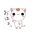 丸い猫（個別スタンプ：2）