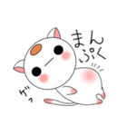 丸い猫（個別スタンプ：31）