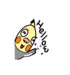 オカメくんはオカメインコだ（個別スタンプ：1）
