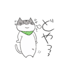 ぽちゃ猫Dの基本セット（個別スタンプ：31）