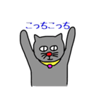 ねこの青助 ver.2（個別スタンプ：13）