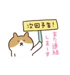 つぶやきねこ2（個別スタンプ：11）