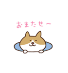 つぶやきねこ2（個別スタンプ：13）