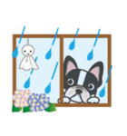 わんこdeスタンプ〜フレブル編（個別スタンプ：34）