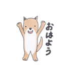 柴犬のチョコちゃん（個別スタンプ：2）