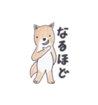 柴犬のチョコちゃん（個別スタンプ：9）