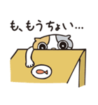 ぐうたらスコッチ（個別スタンプ：4）