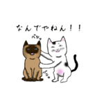 うちの和猫と帰国子女（個別スタンプ：36）