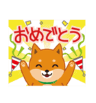 柴犬「ムサシ」誕生日＆年中行事スタンプ（個別スタンプ：7）