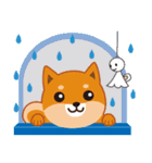 柴犬「ムサシ」誕生日＆年中行事スタンプ（個別スタンプ：25）