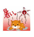 柴犬「ムサシ」誕生日＆年中行事スタンプ（個別スタンプ：27）