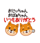 柴犬「ムサシ」誕生日＆年中行事スタンプ（個別スタンプ：37）