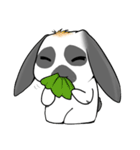 Mommam the Dograbbit（個別スタンプ：36）
