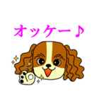 キャバリアばっかりのスタンプ（個別スタンプ：12）