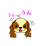 キャバリアばっかりのスタンプ（個別スタンプ：14）