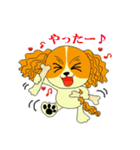 キャバリアばっかりのスタンプ（個別スタンプ：17）