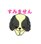 キャバリアばっかりのスタンプ（個別スタンプ：36）