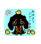 わんこクラブvol.2～ダックスだらけ（個別スタンプ：1）