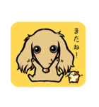 わんこクラブvol.2～ダックスだらけ（個別スタンプ：5）