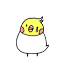 いろいろインコ（個別スタンプ：10）