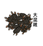 亀の生活（個別スタンプ：3）