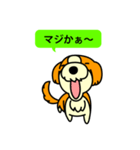 Live with Dogs part.5（個別スタンプ：12）