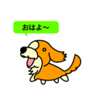 Live with Dogs part.5（個別スタンプ：16）