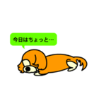 Live with Dogs part.5（個別スタンプ：36）