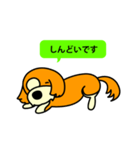 Live with Dogs part.5（個別スタンプ：38）