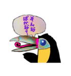 あまのじゃくオオハシ （日本語）（個別スタンプ：16）