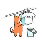 柴犬タローの日常2（個別スタンプ：37）