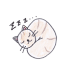 ねこのチャトラちゃん（個別スタンプ：14）