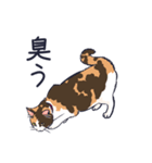 三毛猫と待ち合わせ（個別スタンプ：25）