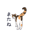 三毛猫と待ち合わせ（個別スタンプ：29）