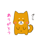 ゆるしばくん（個別スタンプ：3）