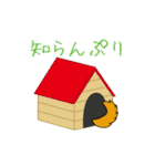 ゆるしばくん（個別スタンプ：12）