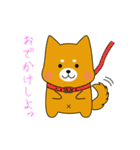 ゆるしばくん（個別スタンプ：13）