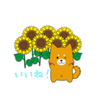 ゆるしばくん（個別スタンプ：18）