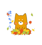 ゆるしばくん（個別スタンプ：25）
